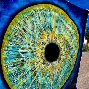 The Window